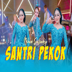 Download Niken Salindry - Santri Pekok Mp3